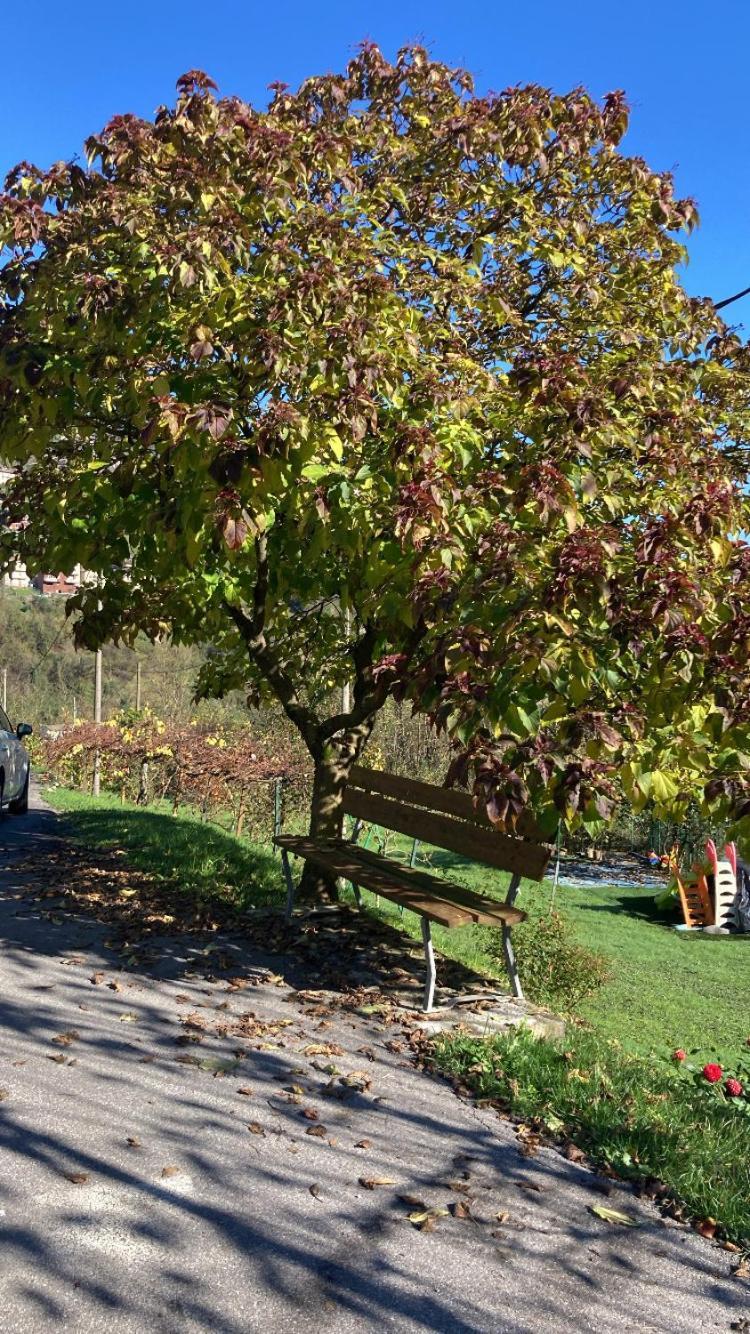 Cascina Uertigher Gorno Luaran gambar