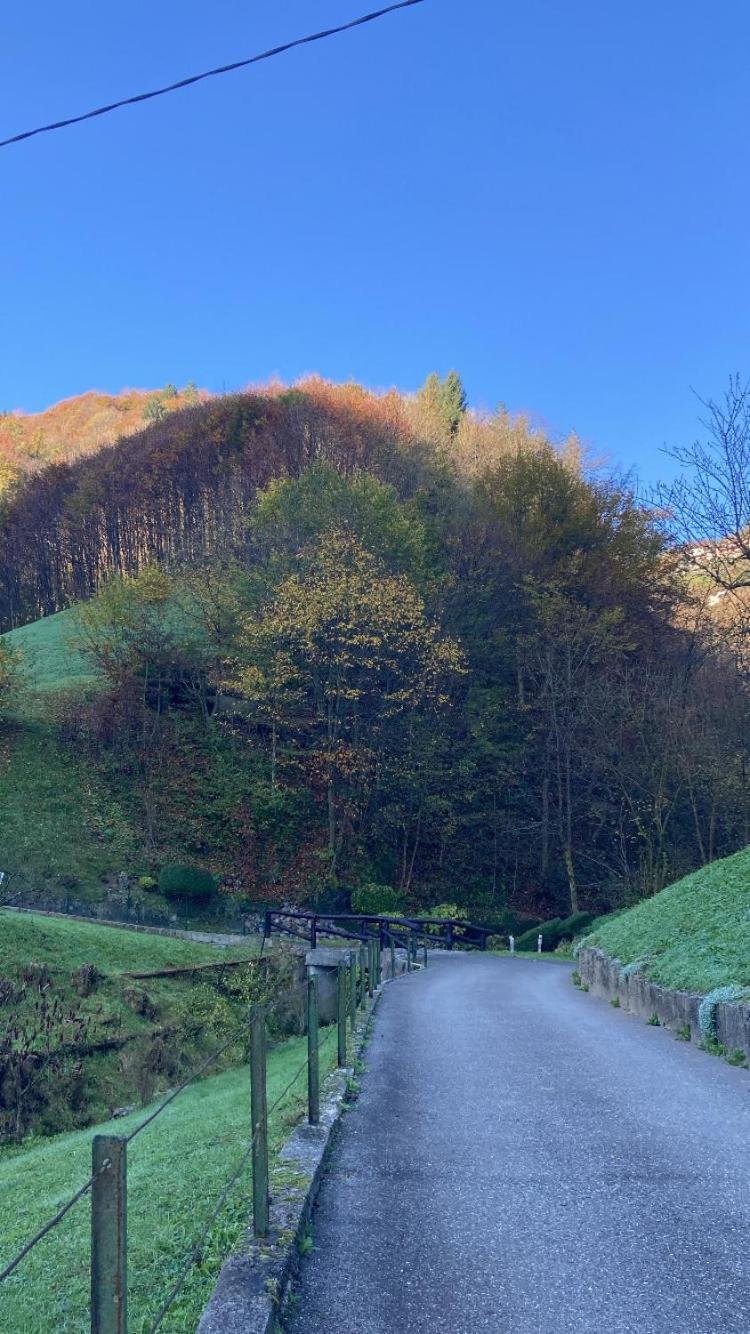 Cascina Uertigher Gorno Luaran gambar